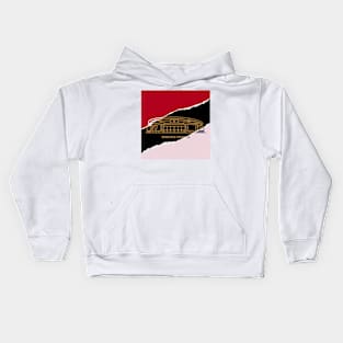 Emirates Stadium Torn design Kids Hoodie